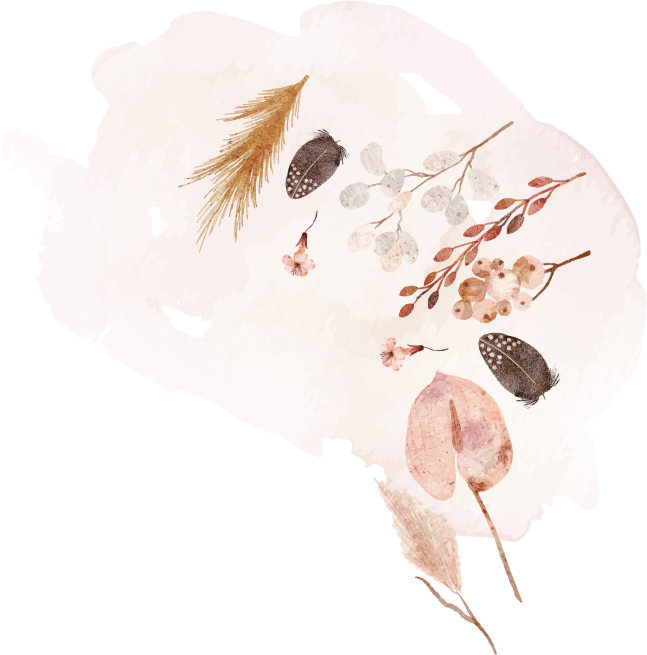 fiori-colore-parallax-alto-dx